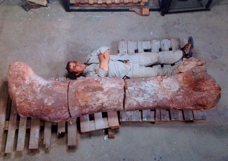 Illustration for article titled Paleontologists lying near giant dinosaur bones